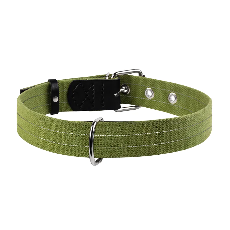 Нашийник для собак CoLLaR брезент 41-53 см 25 мм металеві елементи М