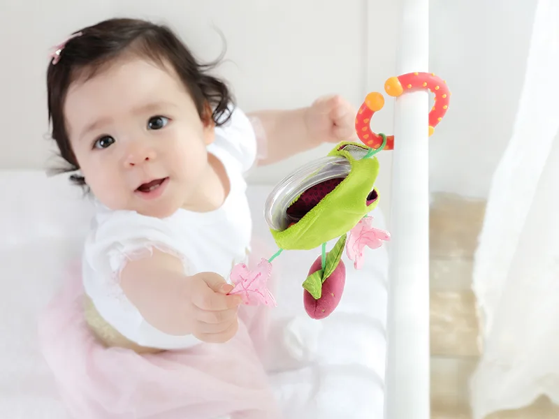 Клипса для коляски sigikid Полуничка 18 см