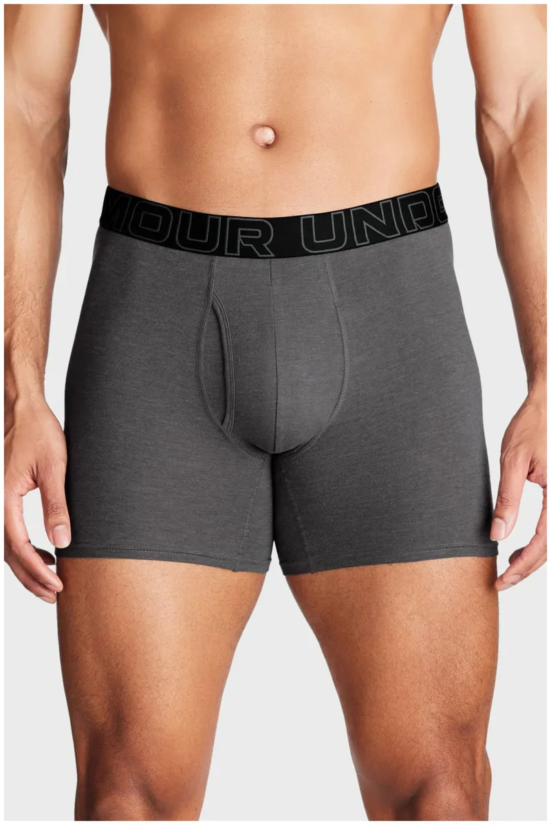 Труси Under Armour бавовна SM сірі 3 шт