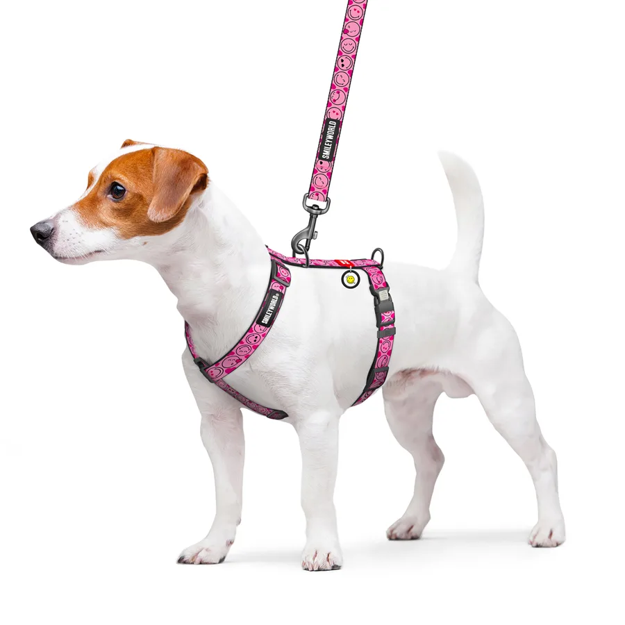 Шлея анатомічна WAUDOG Nylon H-подібна 15 мм S 30-45 см Рожеві смайли