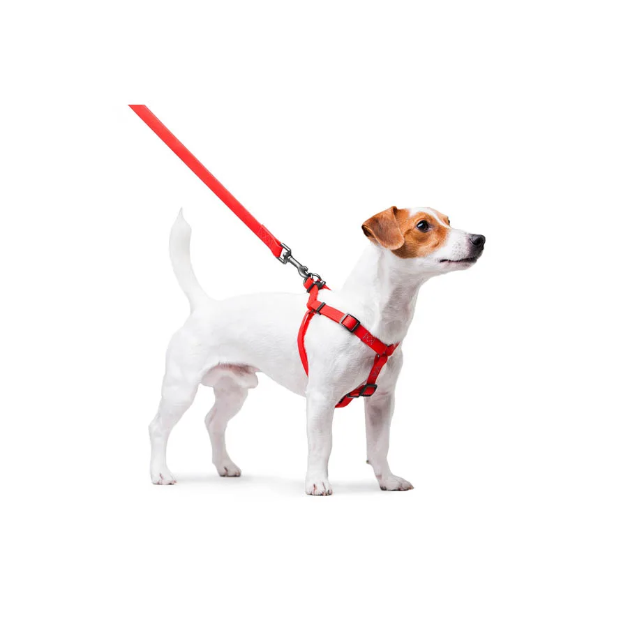 Шлея WAUDOG Waterproof 15 мм Collartex червона 40-55 см