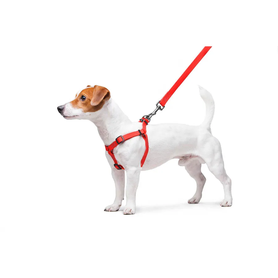 Шлея WAUDOG Waterproof 15 мм Collartex червона 40-55 см