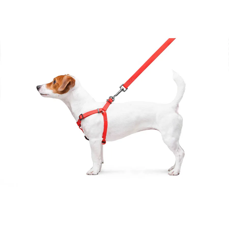 Шлея WAUDOG Waterproof 15 мм Collartex червона 40-55 см