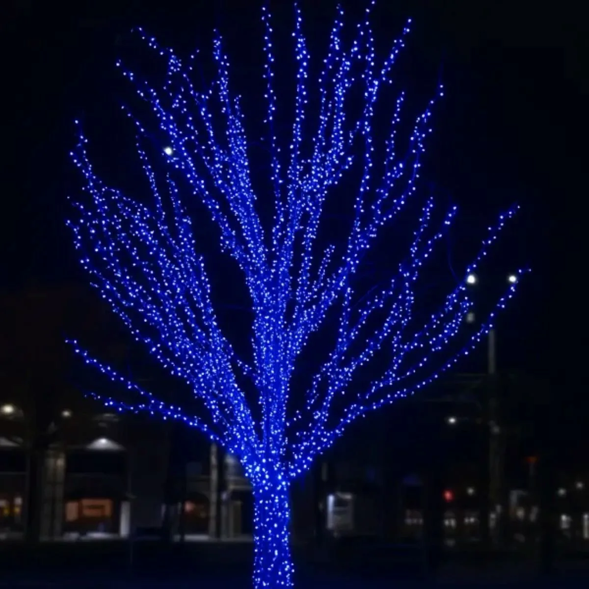 Гірлянда Нитка 30 м 300 LED чорний провід синій