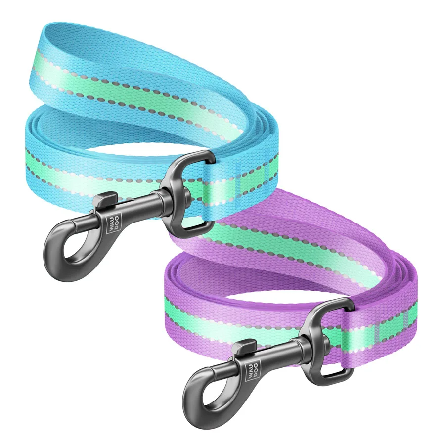 Повідець WAUDOG Nylon 20 мм x 122 см нейлоновий блакитний