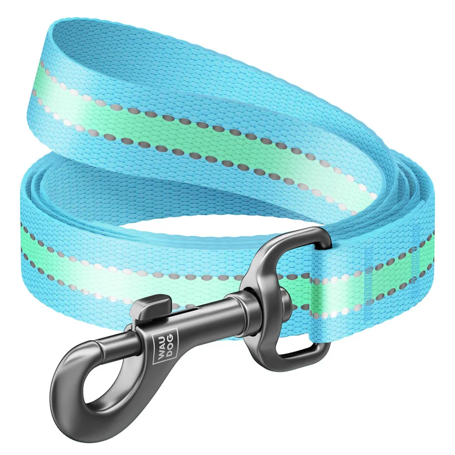 Повідець WAUDOG Nylon 20 мм x 122 см нейлоновий блакитний