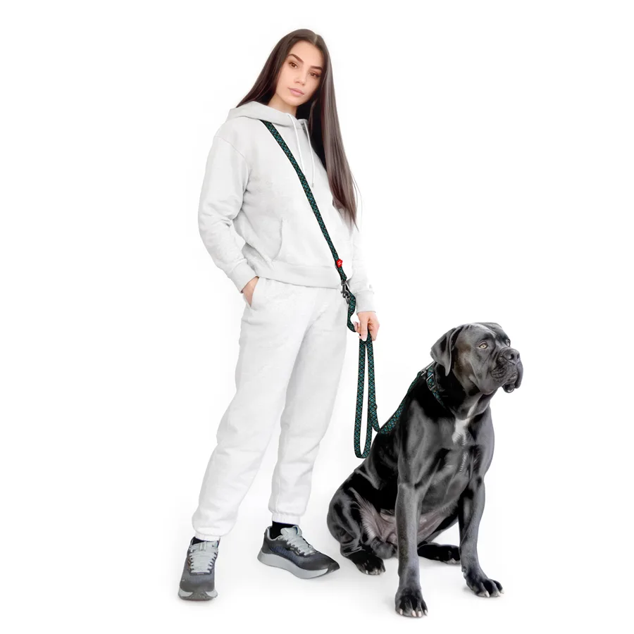 Повідок WAUDOG Nylon 300x20 мм Нейлон М Луска