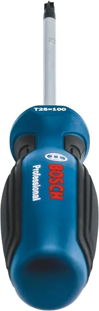 Викрутка Bosch Професійна Torx T25x100мм