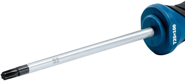 Викрутка Bosch Професійна Torx T25x100мм
