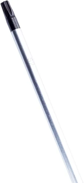 Викрутка Bosch Професійна Torx T25x100мм
