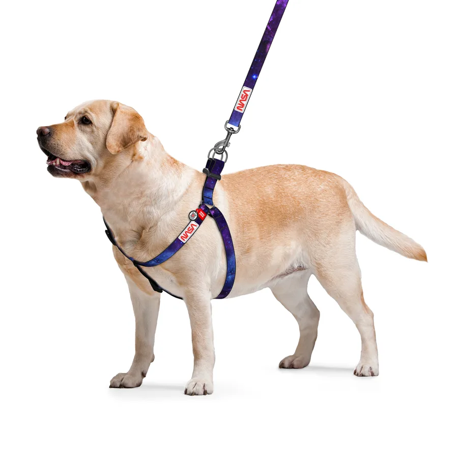 Шлейка WAUDOG Nylon NASA21 L 60-85 см 25 мм нейлоновая