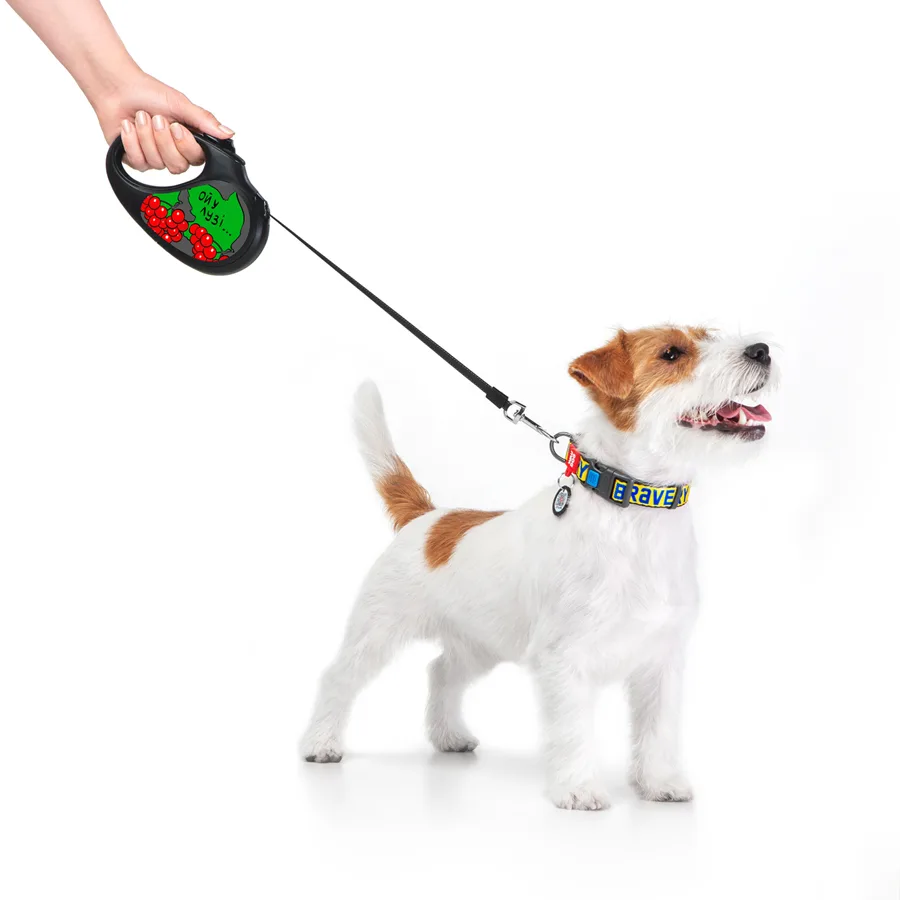 Повідець-рулетка WAUDOG R-leash 5 м для собак до 25 кг пластик чорний