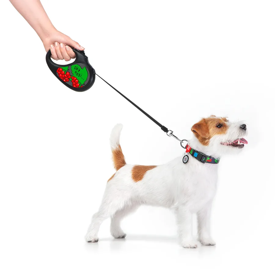 Повідець-рулетка WAUDOG R-leash 5 м для собак до 25 кг пластик чорний