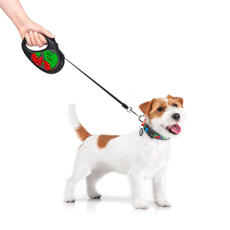 Повідець-рулетка WAUDOG R-leash 5 м для собак до 25 кг пластик чорний