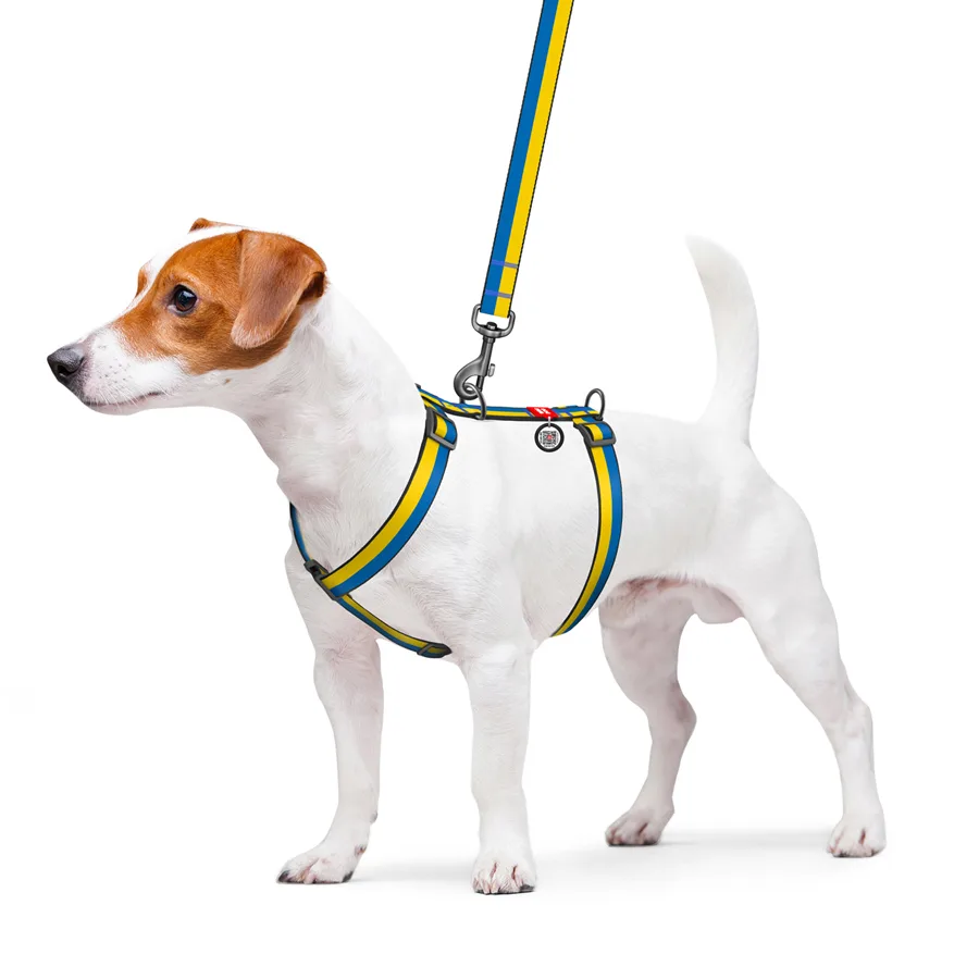 Шлея анатомічна WAUDOG Nylon H-подібна 15 мм Нейлон S Colors of freedom