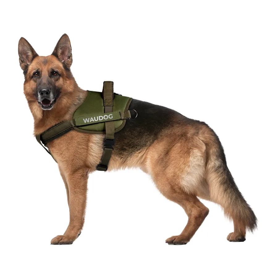 Шлея WAUDOG PRO-2 S світловідбивна поліестер 44-60 см хакі