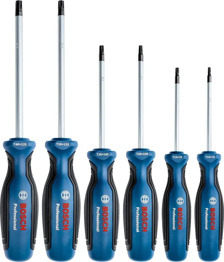 Набір викруток Bosch Professional Torx T10, T15, T20, T25, T30, T40, довжина 75-125 мм, 6 штук.