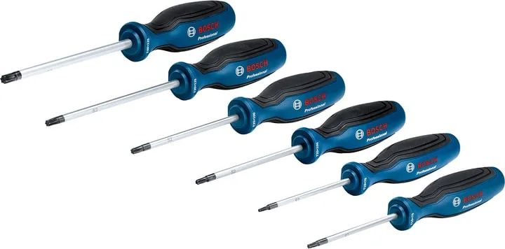 Набір викруток Bosch Professional Torx T10, T15, T20, T25, T30, T40, довжина 75-125 мм, 6 штук.