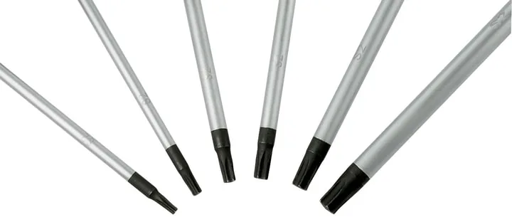 Набір викруток Bosch Professional Torx T10, T15, T20, T25, T30, T40, довжина 75-125 мм, 6 штук.