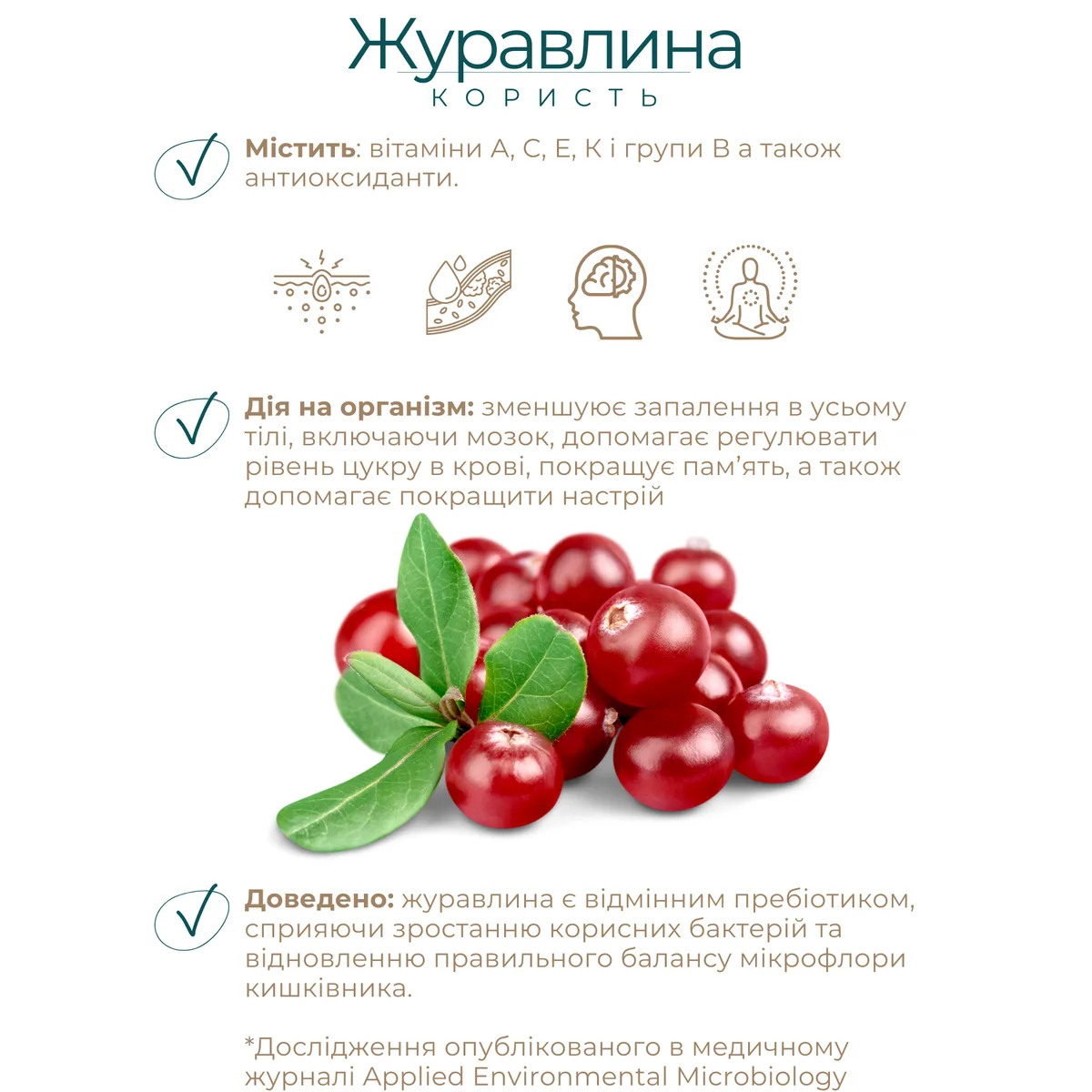Набор гранолы Gregory Mill Имбирное печенье 1 кг и Сладкий кешью 250 г для завтраков и перекусов.
