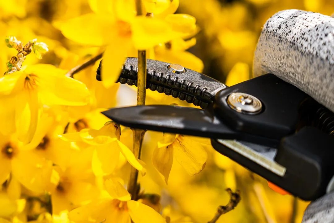 Секатор контактний Neo Tools, D типу різу 15 мм, довжина 185 мм, вага 169 г.