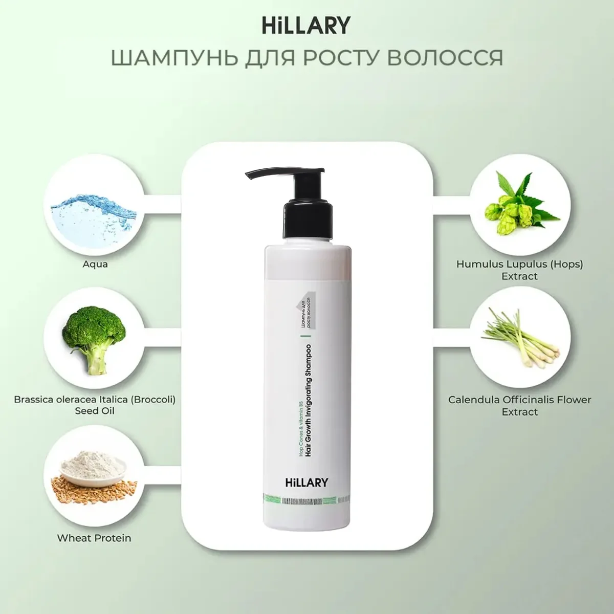 Шампунь + Кондиціонер Hillary Hop Cones & B5 Hair Growth Invigorating, 500 мл