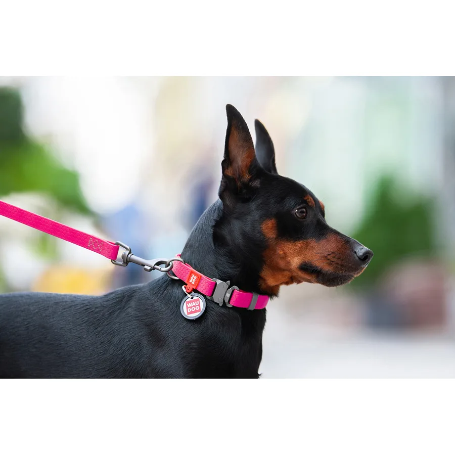Нашийник WAUDOG Waterproof 25 мм x 38-58 см Collartex рожевий