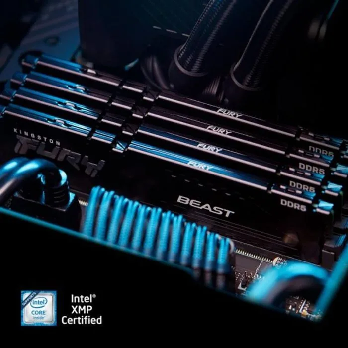Пам'ять ПК Kingston DDR5 64GB KIT (32GBx2) 5600 FURY Beast