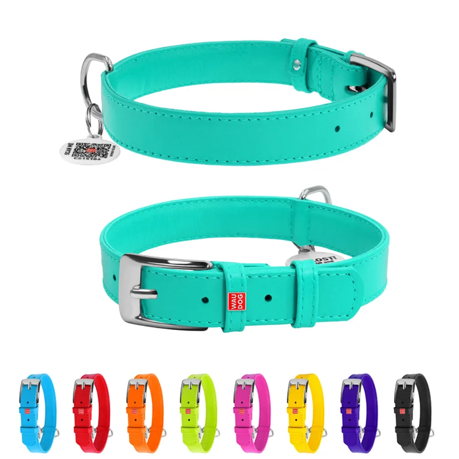 Нашийник WAUDOG Glamour шкіряний M 20 мм 30-39 см ментоловий з QR паспортом
