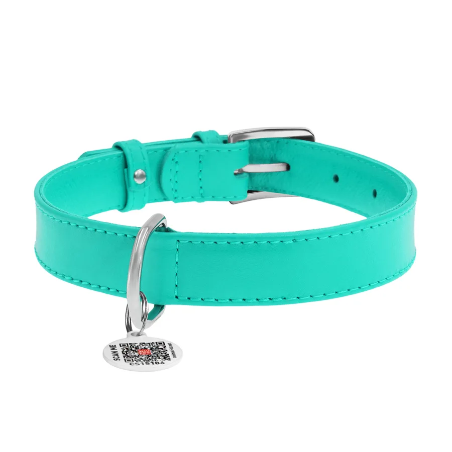 Нашийник WAUDOG Glamour шкіряний M 20 мм 30-39 см ментоловий з QR паспортом