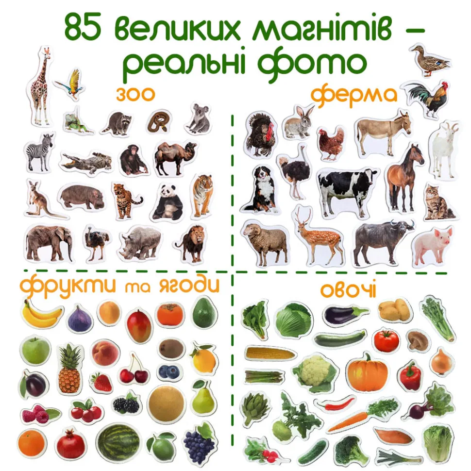 Набір магнітів Magdum 85 шт пластик 30х30 мм багатокольорові