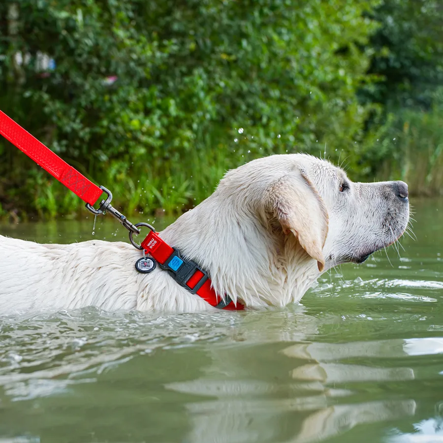 Нашийник WAUDOG Waterproof 25 мм x 38-58 см пластик червоний