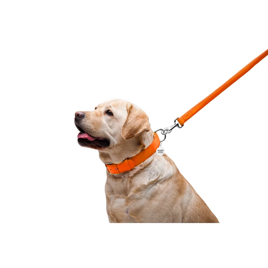 Повідець WAUDOG Glamour шкіряний 25х122 см помаранчевий L-XXL