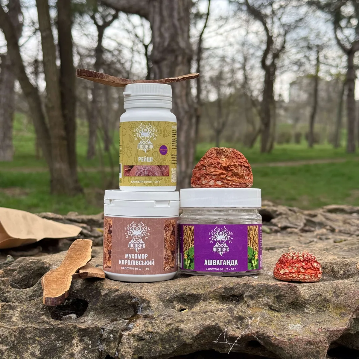 Курс Zen Mood: Для боротьби з тривожністю, апатією та депресією (1 місяць)