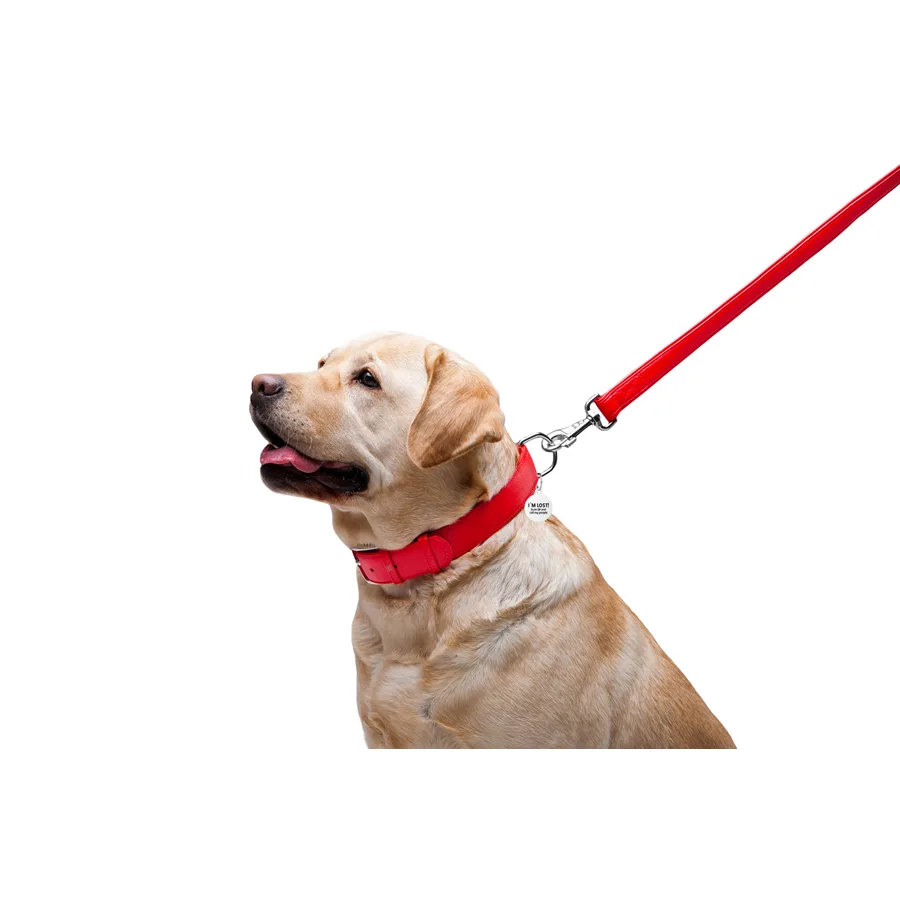 Повідець WAUDOG Glamour шкіряний 25 мм x 122 см червоний