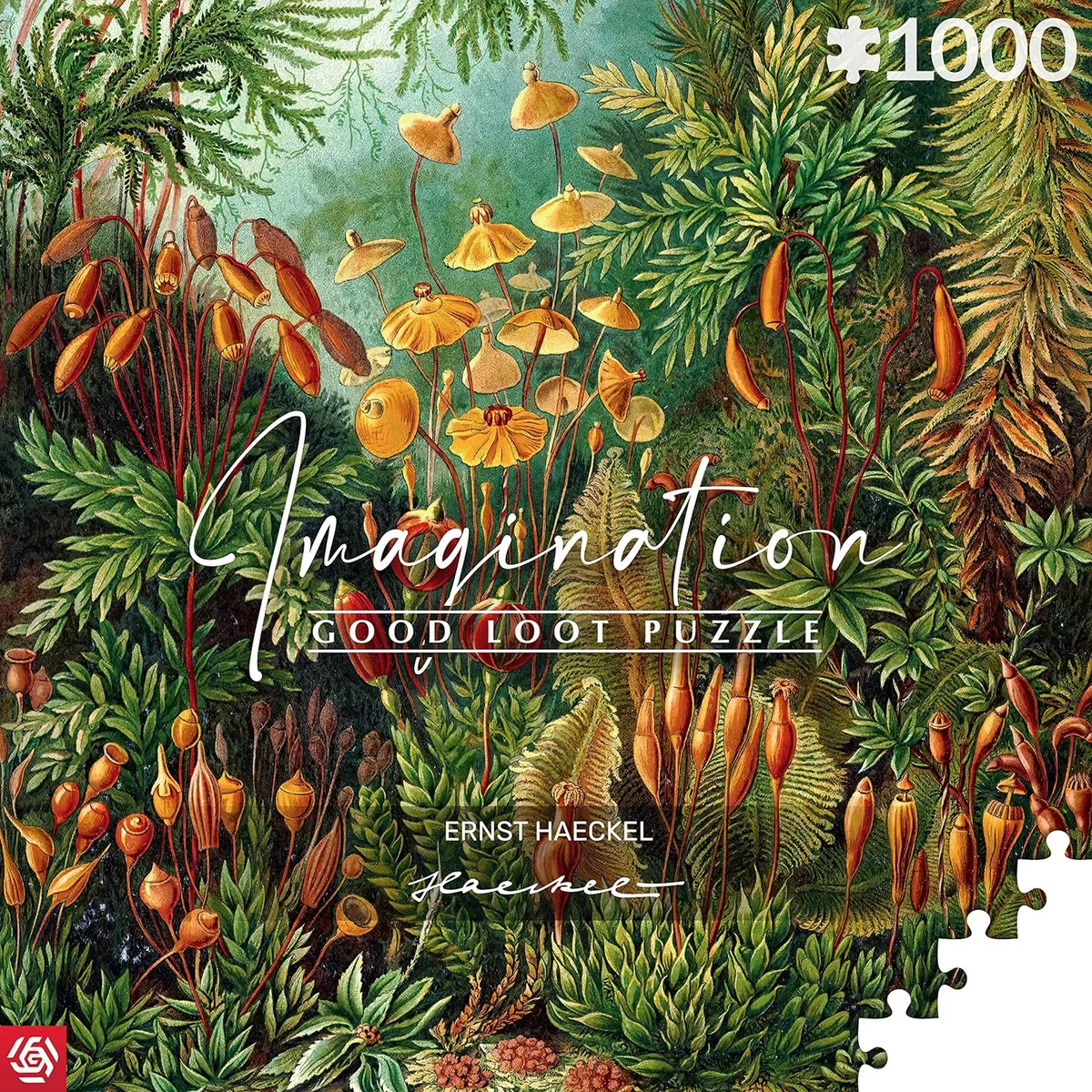 Пазл GoodLoot Imagination: Ernst Haeckel Muscinae 1000 ел.