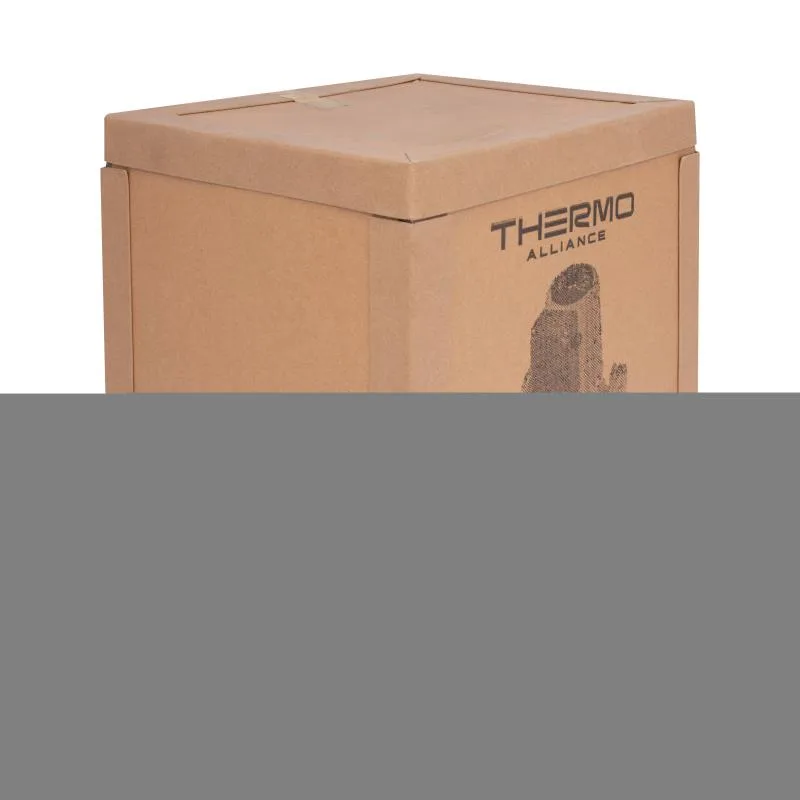 Циркуляційний насос Thermo Alliance LPA40-16-700 700Вт фланцевий DN40 250 л/хв 220В