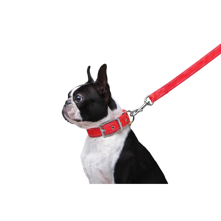 Повідець Dog Extreme подвійний 20 мм x 122 см нейлоновий червоний