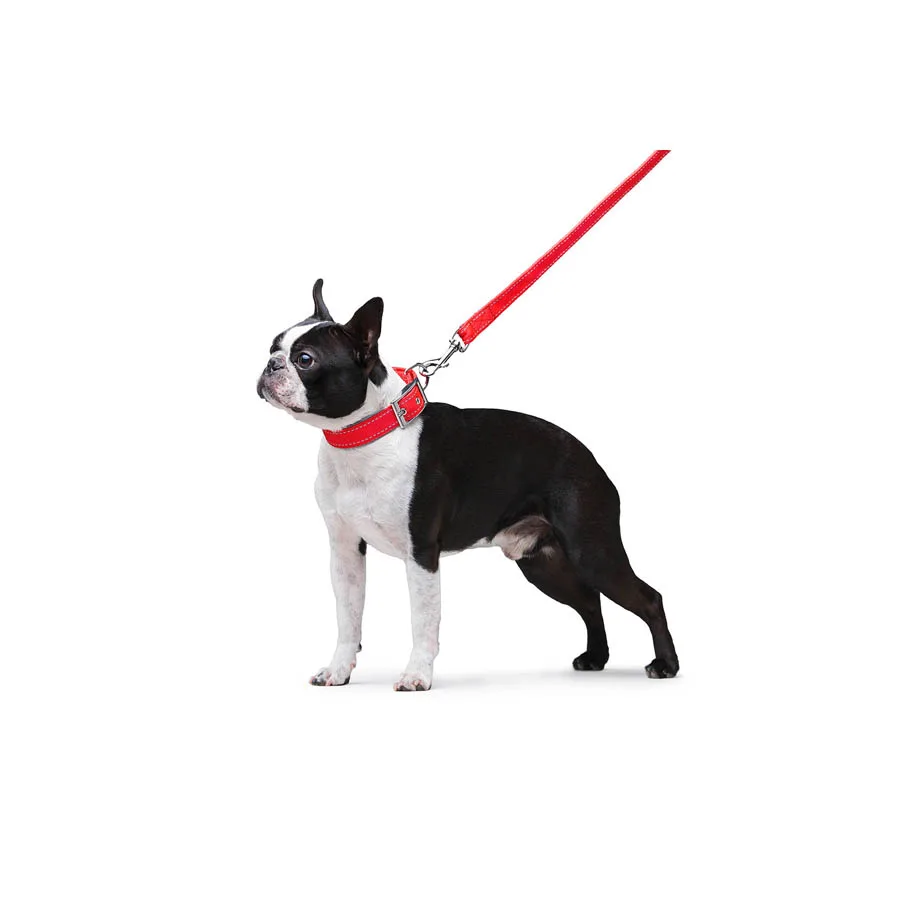 Повідець Dog Extreme подвійний 20 мм x 122 см нейлоновий червоний