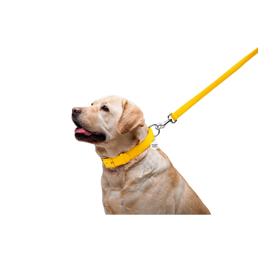 Поводок WAUDOG Glamour кожаный 25х122 см желтый