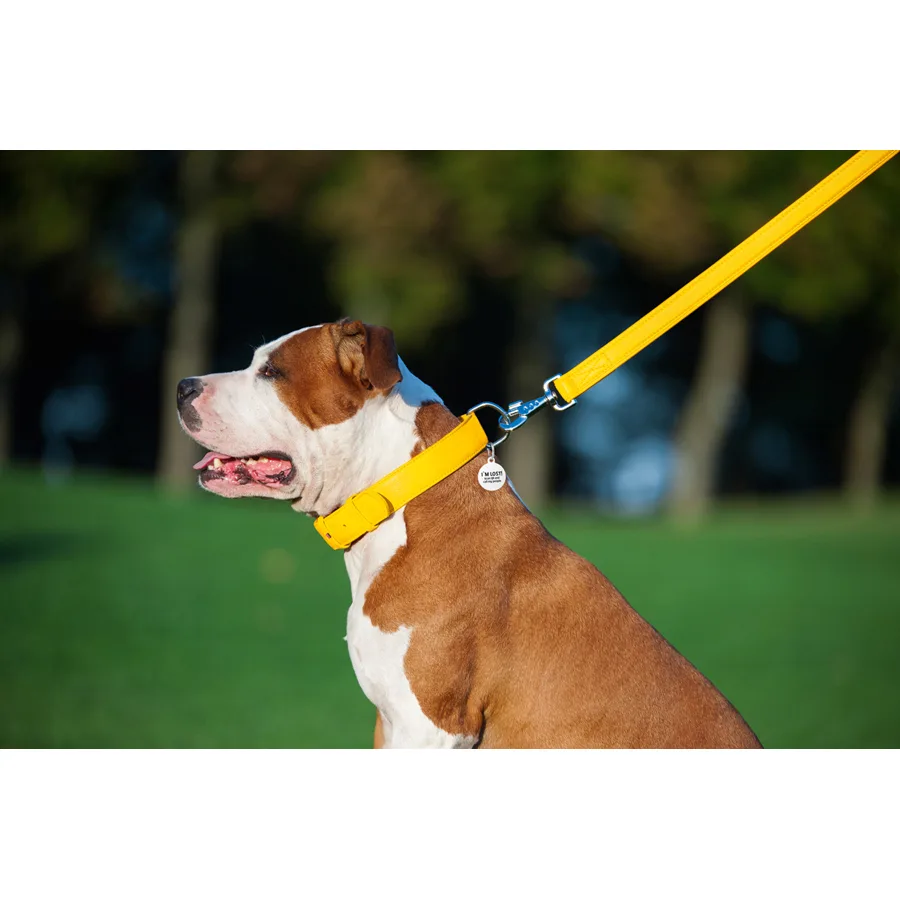 Поводок WAUDOG Glamour кожаный 25х122 см желтый