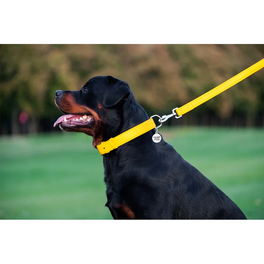 Поводок WAUDOG Glamour кожаный 25х122 см желтый