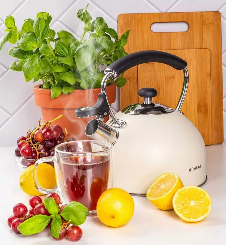 Чайник Ofenbach Magic Kettle 2.2л из нержавеющей стали бежевый матовый с свистком