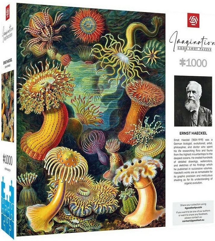 Пазл GoodLoot Imagination: Ernst Haeckel: Sea Anemones 1000 ел.