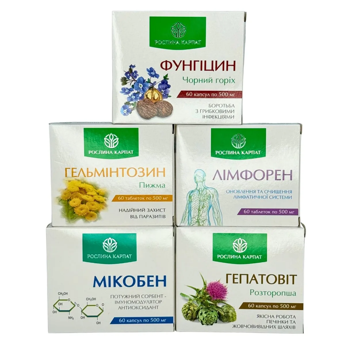Програма очищення організму – Фунгіцин, Гельмінтозин, Лімфорен, Мікобен, Гепатовіт Рослина Карпат