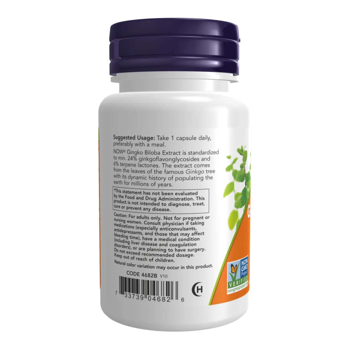Ginkgo Biloba 120mg 200 vcaps Now Foods вегетарианская капсула без ГМО