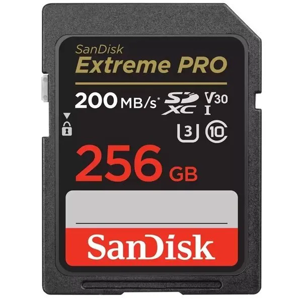 Карта пам'яті SanDisk SD 256ГБ UHS-I V30 140МБ/с Чорна