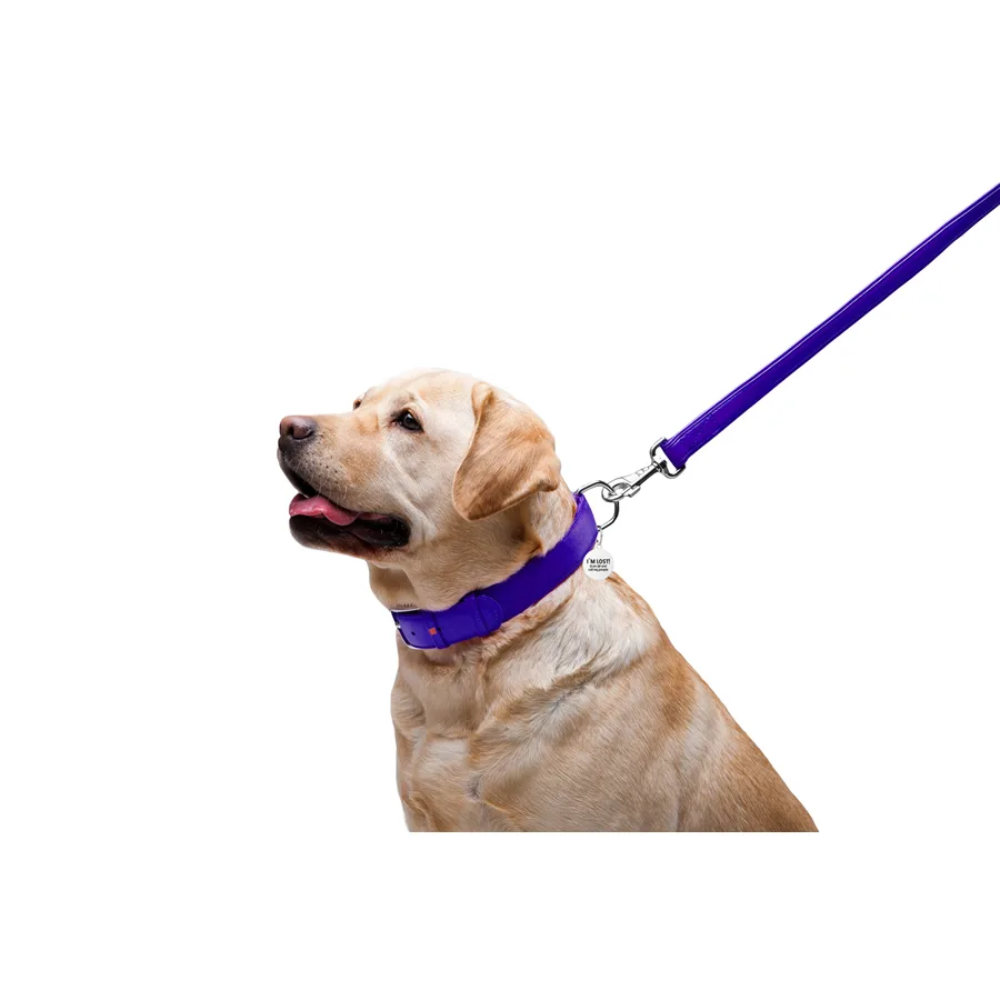 Повідець WAUDOG Glamour шкіряний 25х122 мм фіолетовий для собак L-XXL
