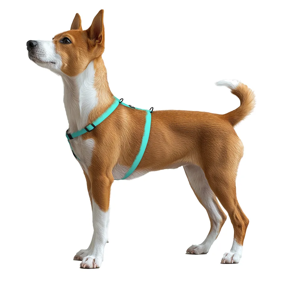 Шлея WAUDOG Magnet Н-подібна водостійка Collartex S 15 мм 28-42 см тіффані