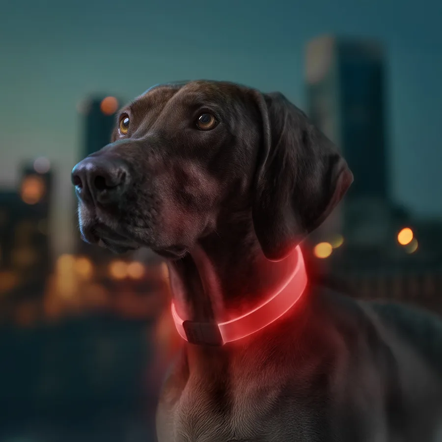 Нашийник WAUDOG LED RGB 60x2,5 см пластик червоний зелений синій